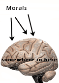 Motor Neurons